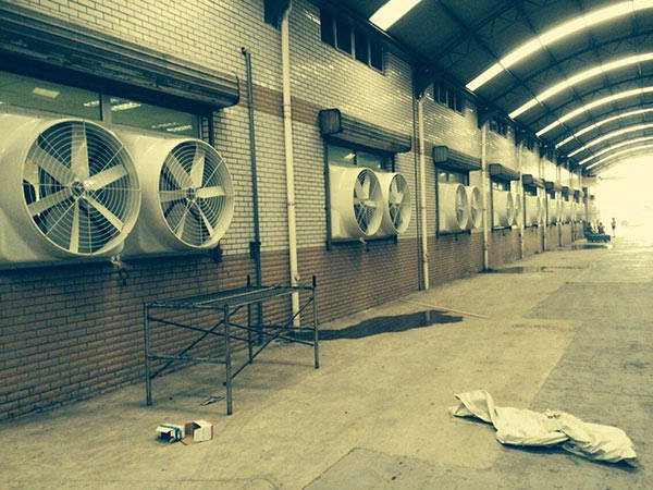 ؓ���L�C����